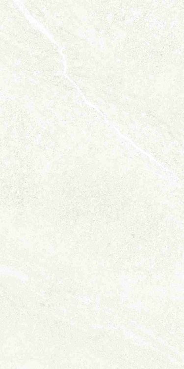 Dhara White Matte 12 x 24
